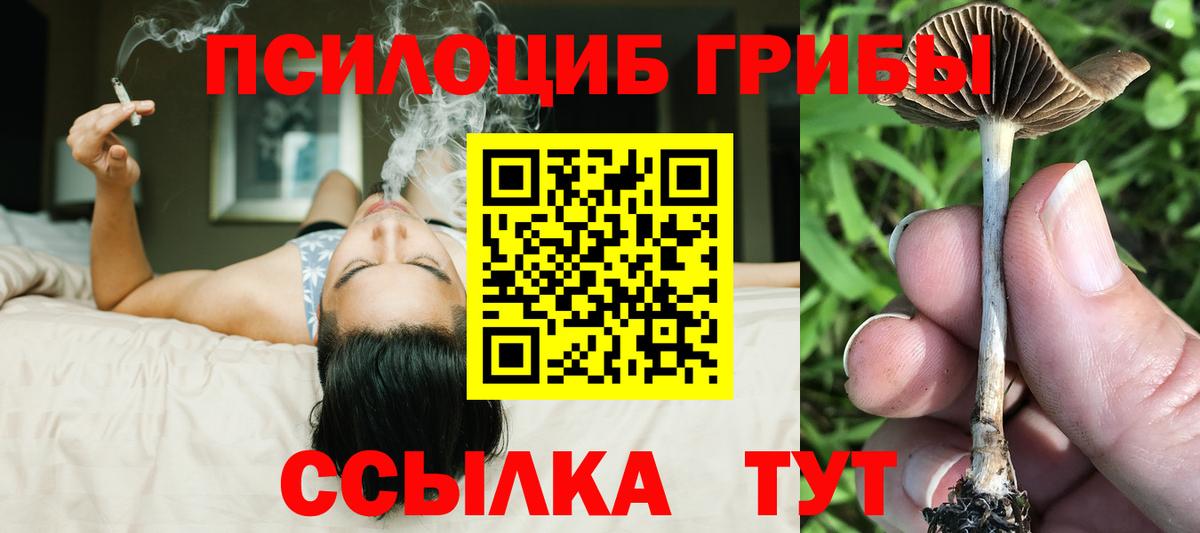 Псилоцибиновые грибы GOLDEN TEACHER Симферополь