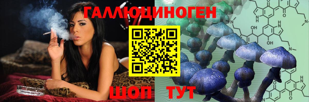 Симферополь  Псилоцибиновые грибы Psilocybe  Вход с VPN 